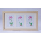 Acrylic Cactus Image Frame (Multicolor)