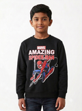 Boys Pullover Sweatshirt