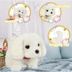 Walking And Talking Dog (Multicolor)