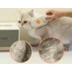 Pack of 2 Pet Brush (Multicolor)