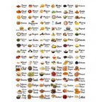Pack of 3 Kitchen Masala Sticker (Multicolor)