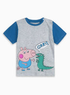 Baby Boys Printed Grey T Shirt